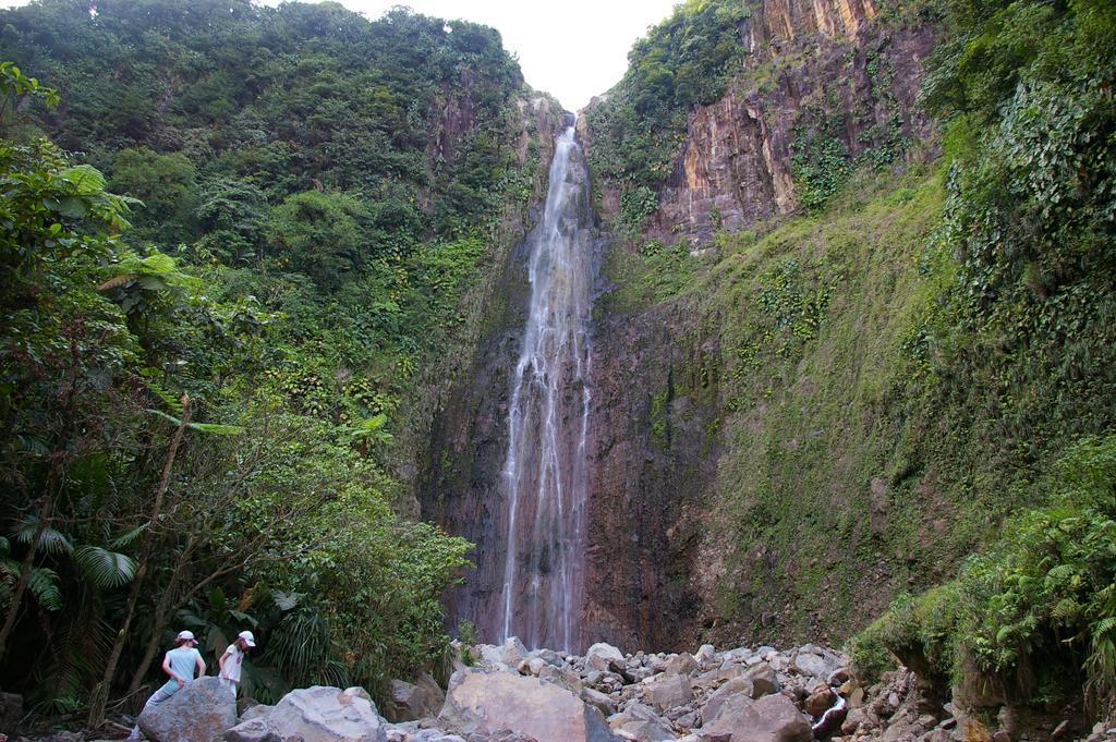 Kaz Creole Aventure Tropicale Insolite, Fibre, Jardin Et Jacuzzi Prives سانت فرانسوا المظهر الخارجي الصورة