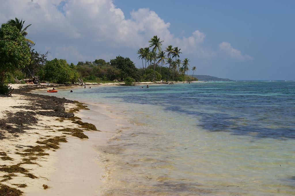 Kaz Creole Aventure Tropicale Insolite, Fibre, Jardin Et Jacuzzi Prives سانت فرانسوا المظهر الخارجي الصورة