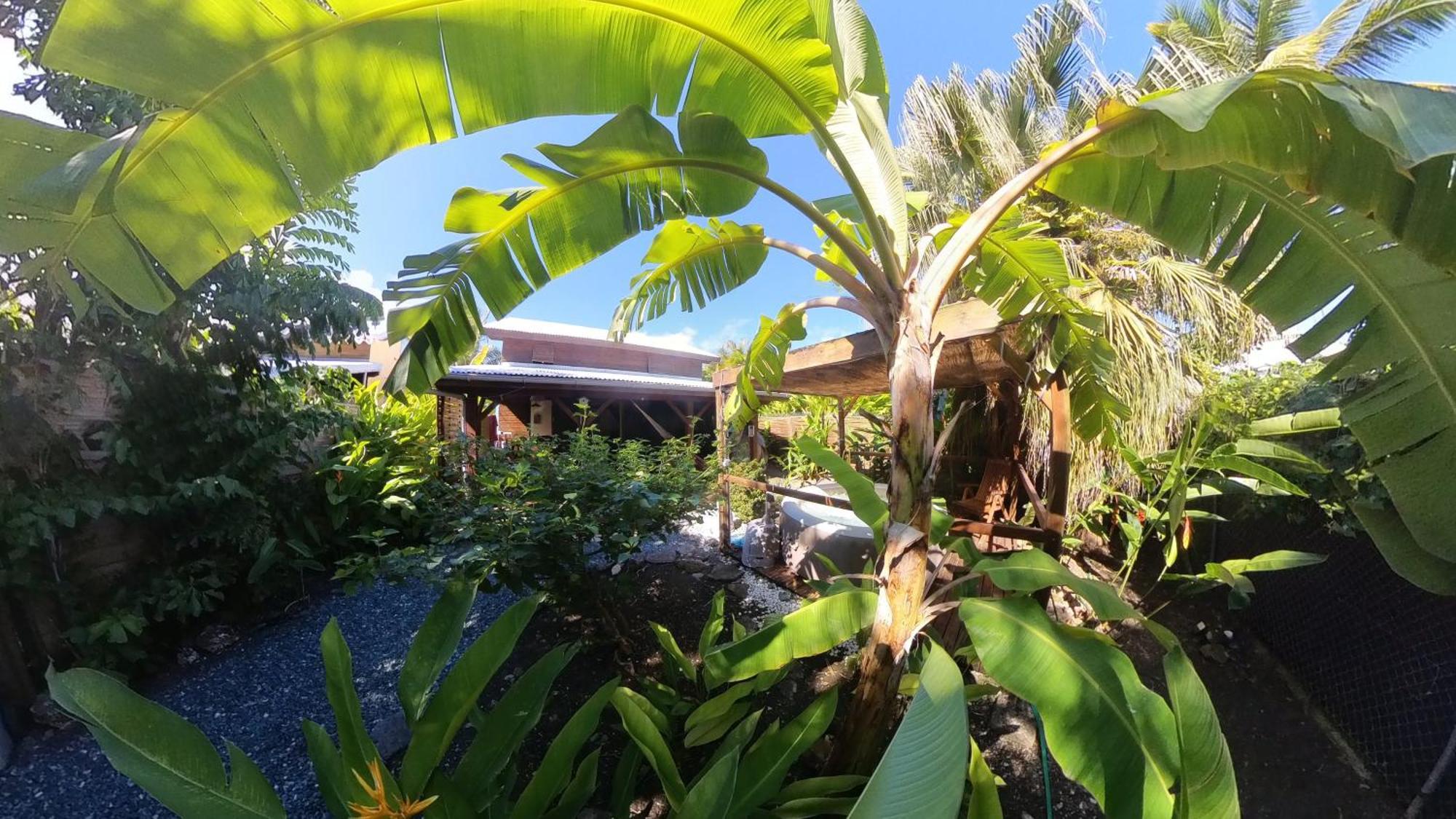 Kaz Creole Aventure Tropicale Insolite, Fibre, Jardin Et Jacuzzi Prives سانت فرانسوا المظهر الخارجي الصورة